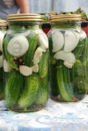 Make some fall pickles